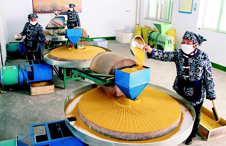 阳城小米加工产业迎来生产销售黄金季