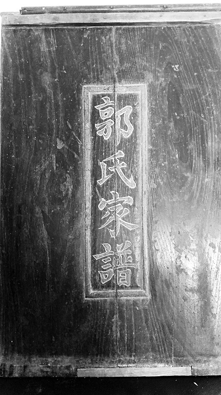 155年前造谱的《郭氏家谱》证明台商郭台铭是郭子仪后人?